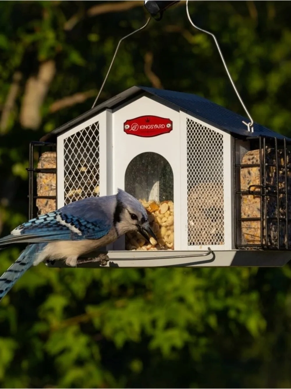3 In 1 Outdoor Metal Bird Feeder Large Capacity Hanging Seed  Double Suet Feeder